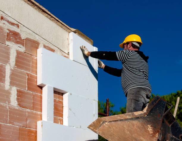 Best Home Insulation Services  in Summerfield, NC