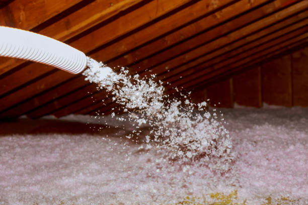 Best Residential Insulation Services  in Summerfield, NC