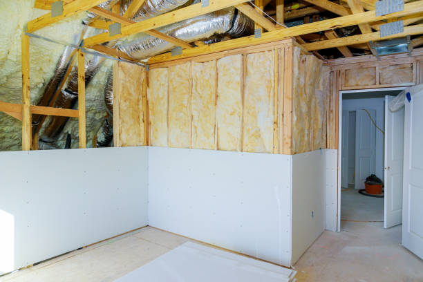 Best Local Insulation Services  in Summerfield, NC