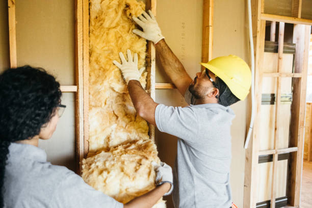 Best Commercial Insulation Contractor  in Summerfield, NC