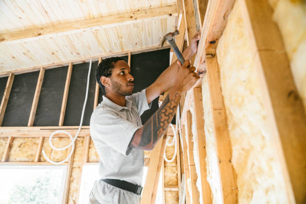 Best Insulation for New Construction  in Summerfield, NC