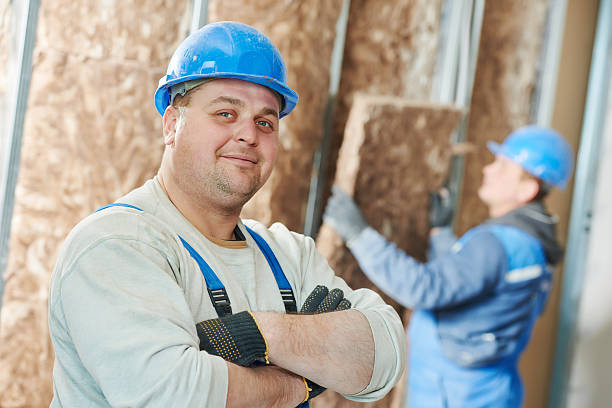 Best Insulation Contractor Near Me  in Summerfield, NC