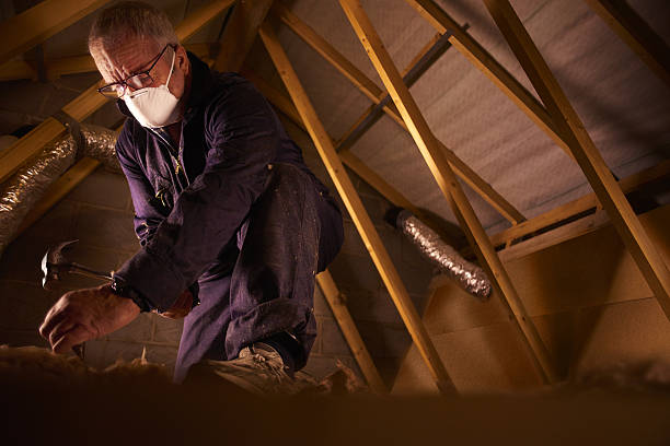 Best Attic Insulation Installation  in Summerfield, NC