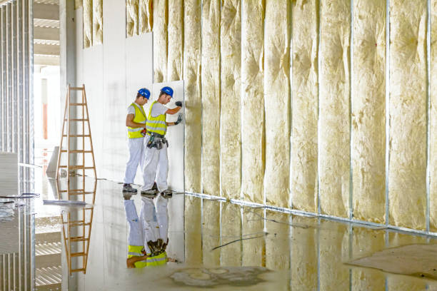 Best Insulation Replacement Services  in Summerfield, NC